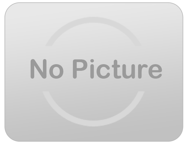 Blue and Green Double Lane Bounce House